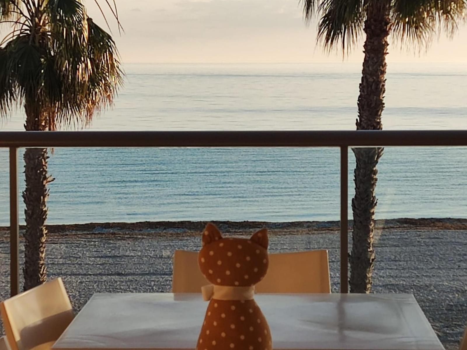 Apartamento Azul Marino *